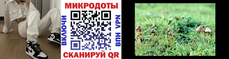 закладка  Урус-Мартан  Псилоцибиновые грибы мухоморы 